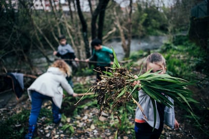 Niños del colegio de Outes ayudan a recuperar el río Tins.