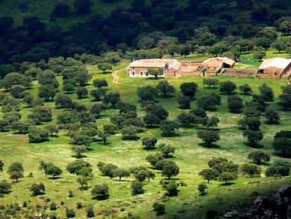 Paisaje de la dehesa en el valle de Alcudia, en Ciudad Real. 