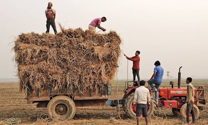 Un grupo de agricultores de Noida, en India, trabajando con tractor durante las labores de la cosecha en 2015.