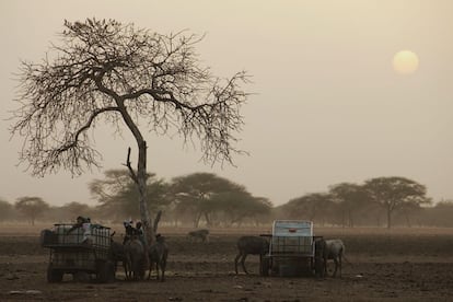 Con el último rayo de sol, los últimos pastores emprenden el camino de regreso a sus casas con los carros cargados de bidones y neumáticos llenos de agua para abastecer a sus familias. Se estima que el año pasado, unos 10 millones de personas sufrieron la escasez de alimentos debido a la sequía y el cambio climático en el Sahel.