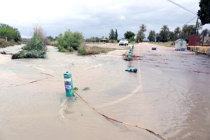 Cauce del río Vinalopó en la zona conocida como camino de la Regalisia en Elche (Alicante), este martes.