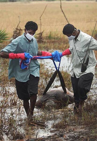 Dos hombres rescatan un cadáver en Mullaitivu, un pueblo del norte de Sri Lanka.