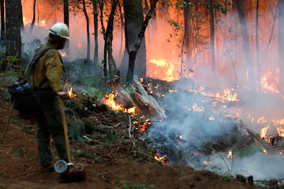 Según un comunicado de prensa del fiscal de distrito del condado de Butte, Mike Ramsey, un hombre de 42 años de Chico (California) fue detenido por empujar presuntamente un coche en llamas a un barranco, lo que desencadenó el incendio del parque. 
