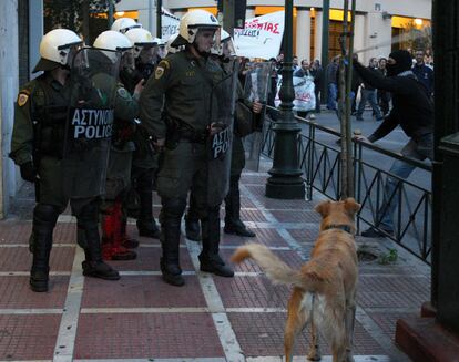 El <i>manifestante canino</i> observa como otro manifestante ataca a los policías antidisturbios.