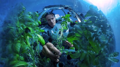 Jardín de Nemo, o cómo cultivar tabaco debajo del mar
