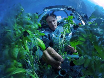 Jardín de Nemo, o cómo cultivar tabaco debajo del mar