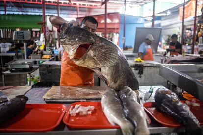 Un hombre trabaja con la pesca del día en el Mercado de Piura.