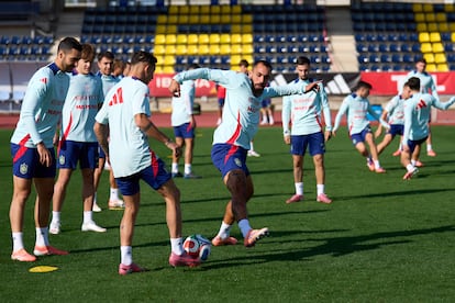 Selección española Elche dana