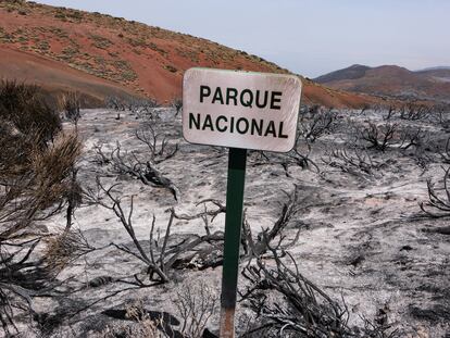 El parque nacional del Teide, este jueves tras el paso del incendio forestal que afecta a la isla de Tenerife.