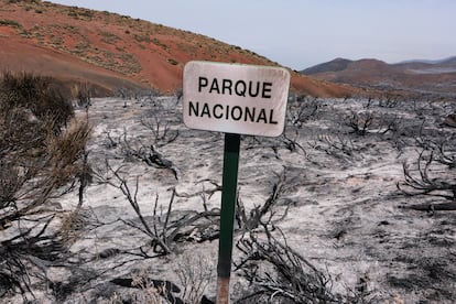 Incendio Tenerife