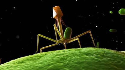Recreacíón de un bacteriófago.