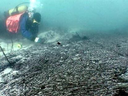 Un submarinista limpia una gran capa de fuel en el fondo marino cercano a la isla de Ons (Pontevedra).