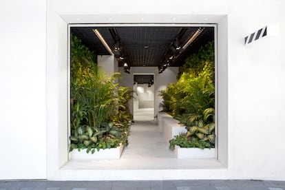 Stanescu y Dong- Ping Wong decidieron dedicar un tercio de la tienda de Off White de Hong Kong a hacer un jardín.