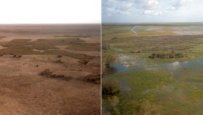 Antes y después de la vista desde la Torre del Palacio de Doñana, que pertenece al Parque Nacional de Doñana. A la izquierda, en octubre de 2023 y a la derecha, en abril de 2024.