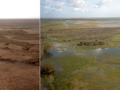 Antes y después de la vista desde la Torre del Palacio de Doñana, que pertenece al Parque Nacional de Doñana. A la izquierda, en octubre de 2023 y a la derecha, en abril de 2024.