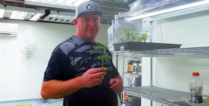 Randall Patten, en su plantación de marihuana.