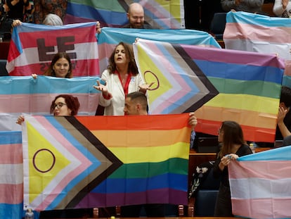 La diputada de Mas Madrid Carla Antonelli (en el centro) durante el pleno extraordinario de la cámara convocado para aprobar las modificaciones de las leyes Trans y LTBI.