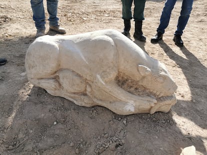 Escultura íbera de una leona hallada en el municipio de La Rambla el pasado 28 de octubre,