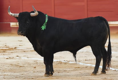 El toro Embriagado, de Fuente Ymbro, indultado en la plaza de Utrera.