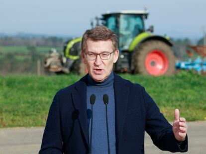 El presidente del PP, Alberto Núñez Feijóo, declara tras realizar una visita a una explotación agraria, este lunes en la localidad pontevedresa de Lalín.