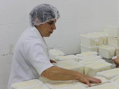 Trabajadora en una fábrica de quesos en Santa Catarina.