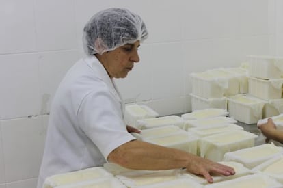 Trabajadora en una fábrica de quesos en Santa Catarina.