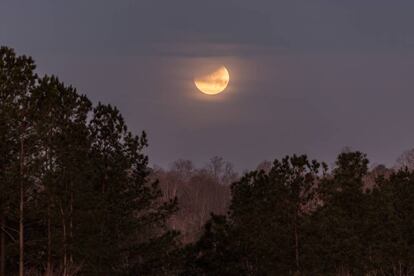 Cada mes tiene su Luna llena: la de enero es la Luna del lobo, por los aullidos de las manadas hambrientas que en invierno rondaban (y rondan) las aldeas.