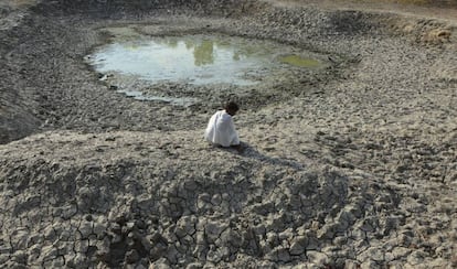 Un hombre indio en la cuenca del río Varuna, en India, durante la sequía que asoló al país en junio.