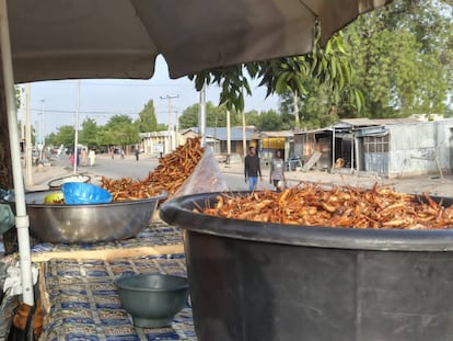 Puesto de venta de saltamontes fritos de Ayuba Naomi, en Maiduguri, Nigeria