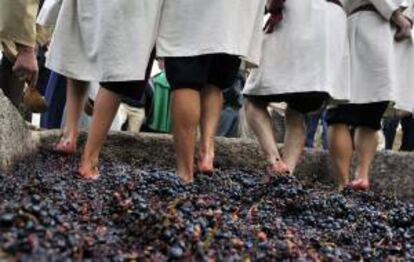 Cuatro personas pisan uvas durante la fiesta de la vendimia, cerca de Subportela, Viana do Castelo, norte de Portugal. EFE/Archivo