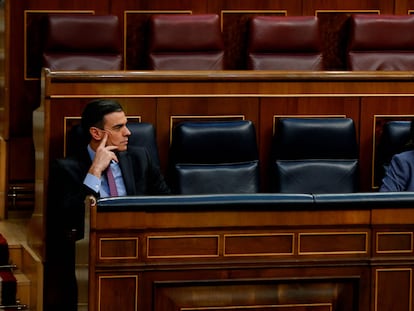 Spanish Prime Minister Pedro Sanchez (l) and Deputy Prime Minister Pablo Iglesias in Congress today.