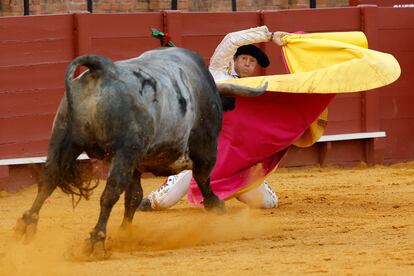 Larga cambiada en el tercio de Manuel Escribano al quinto toro de la tarde.