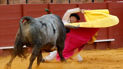 Larga cambiada en el tercio de Manuel Escribano al quinto toro de la tarde.