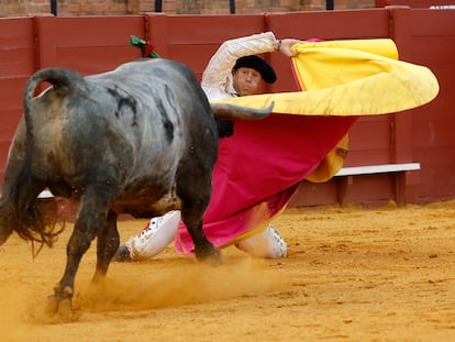 Larga cambiada en el tercio de Manuel Escribano al quinto toro de la tarde.