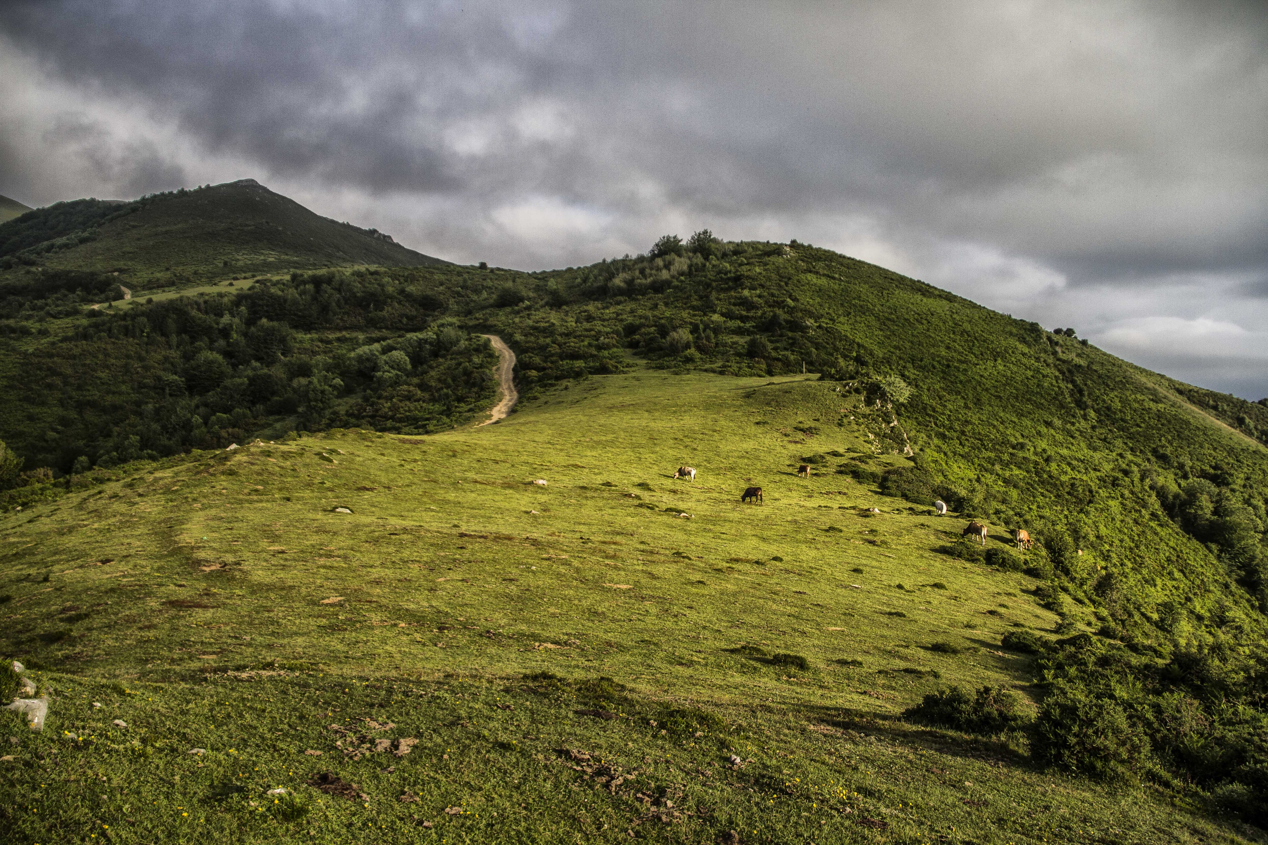 Vista del campamento de Coaña.