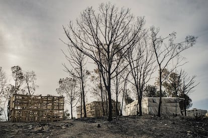 Chabolas en construcción tras un incendio ocurrido en abril de este año en un asentamiento en Palos de la Frontera (Huelva). En 2019 se contabilizaron 16 incendios en poblados de temporeros e inmigrantes en esta provincia.