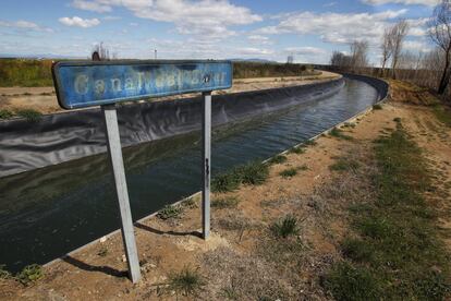 Villanueva de la Serena es zona de regadío, como su vecino Don Benito. El canal del Zíjar riega las 235 hectáreas de la gran explotación municipal, Navisa, donde se cultivan frutas de hueso.