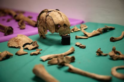 El equipo de arqueólogos y antropólogos marca cada una de las piezas de huesos encontrados en la fosa. 