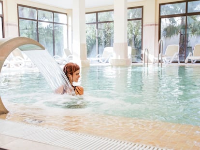 Se adaptan al borde de las piscinas muy fácilmente, generando un efecto relajante y aumentando la estética decorativa del ambiente.GETTY IMAGES.