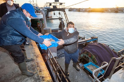 El barco de arrastre 'Sebastián y Guillerma' descarga sus capturas de langostino en el puerto de Bonanza, en Sanlúcar de Barremeda, este pasado jueves.