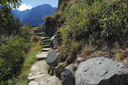 Segmento del Camino del Inca, también situado cerca de Machu Picchu. El proyecto Qhapaq Ñan, para la recuperación de los viejos caminos, se financia con un tercio de los ingresos generados por este monumento (ocho millones de euros). Sus fondos han ayudado, por ejemplo, a restaurar las bases y las escaleras de piedra que descienden al puente Q’eswachaka.