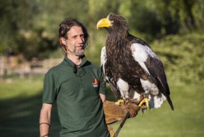 Espectáculo con rapaces en Senda Viva (Navarra).