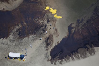 Equipos especiales tratan de limpiar una isla cubierta con la marea negra al sur de Venice en Luisiana