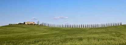 Uma granja entre campos de milho cerca de San Quirico d'Orcia, na Toscana.