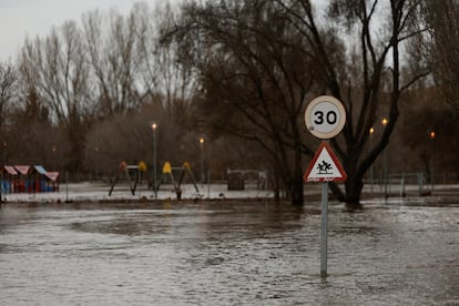 Zona inundada a orillas del río Adaja tras las fuertes lluvias en Ávila.