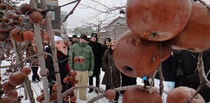 Un guía enseña a los visitantes los pomares de CidreCo en Canadá.