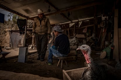 Hogar de Estanislao y Juana en la aldea Tuilelen de Comitancillo, en Guatemala.  La tasa de desnutrición crónica del país es la más alta de Latinoamérica y la sexta del mundo. 