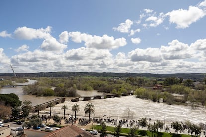 Vista del puente romano derrumbado por la crecida del río Tajo a su paso por Talavera de la Reina, este domingo. 