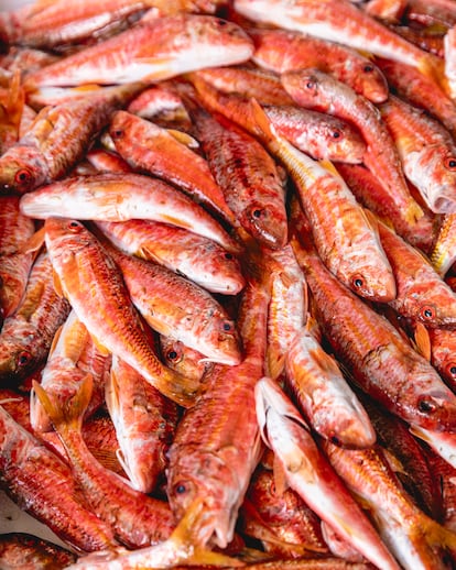 Salmonetes pescados en el mar Mediterráneo por los padres de Yessica Martínez.
