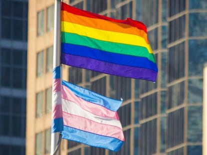 Las banderas del orgullo gay y trans. Getty Images